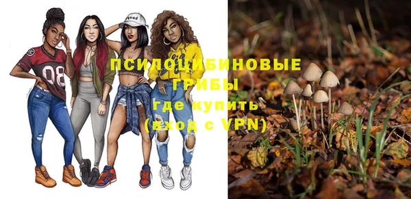 альфа пвп Володарск